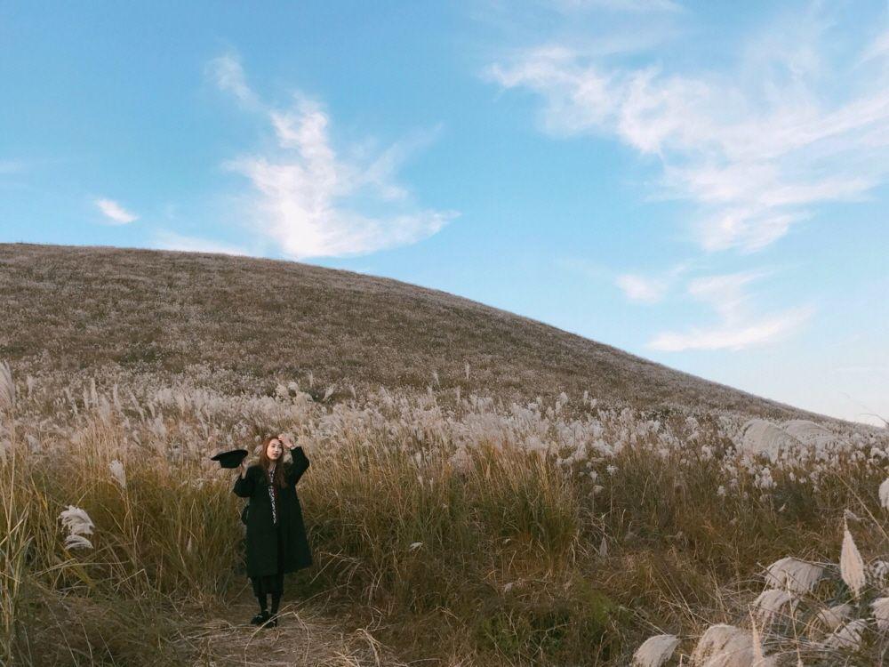 集水山上的紫芒草田，秋天時這裡的紫芒如同波浪般隨風擺動，美麗而寧靜的景色吸引著許多遊客